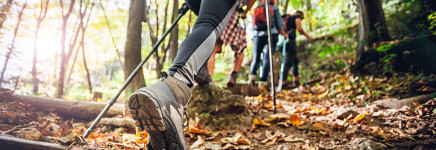 Sporten & bewegen voor mentale gezondheid: POH’s-GGZ gezocht voor vragenlijst!